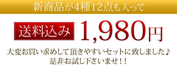 �V���i��4��12�_��������