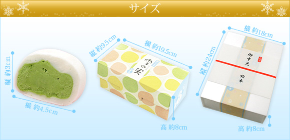 �T�C�Y