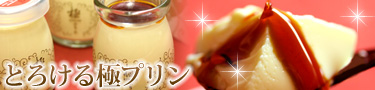 �Ƃ낯��Ƀv����