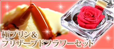 �Ƀv�������v���U�[�u�h�t�����[�Z�b�g
