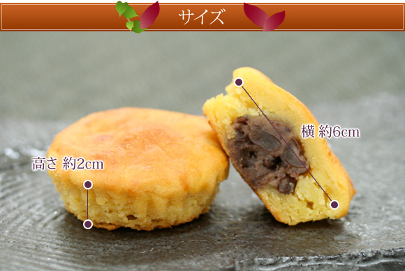 �T�C�Y