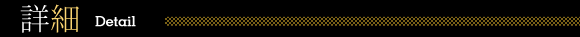 �ڍ�