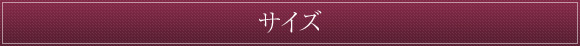�T�C�Y