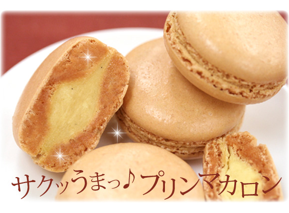 �T�N�b���܂���v�����}�J����