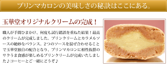 �v�����}�J�����̔��������̔錍�͂����ɂ���B