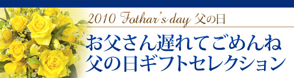 2010 
fathersday ̓ 񂢂肪ƂMtgZNV 2010.06.20