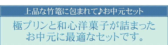 �Ƀv�����Ƙa�S�m�َq���l�܂����������ɍœK�ȃZ�b�g�ł��B