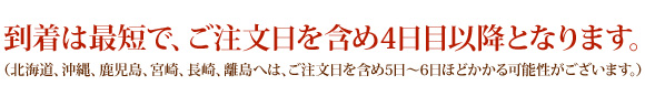 到着は最短で、ご注文日を含め4日目以降となります。