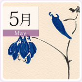 5��