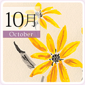 10��
