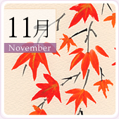 11��