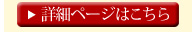 �ڍ׃y�[�W�͂�����