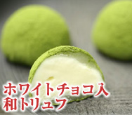 �z���C�g�`���R���@�a�g�����t