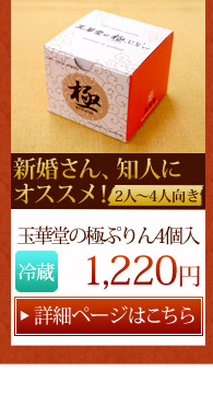 �Ƀv����4��