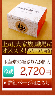 �Ƀv����9��