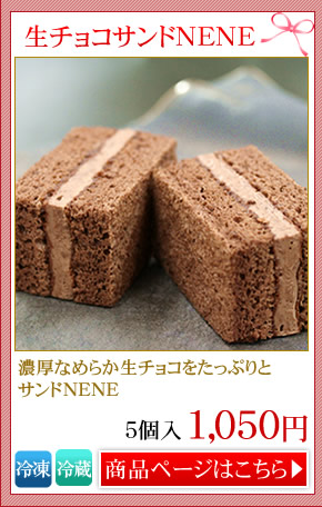 ���`���R�T���hNENE5�I1,050�~