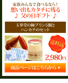 �Ƀv����5�@�n���J�`�Z�b�g