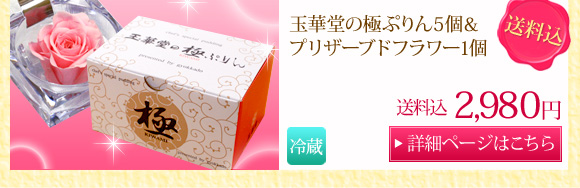 �ʉؓ��̂Ղ��5��