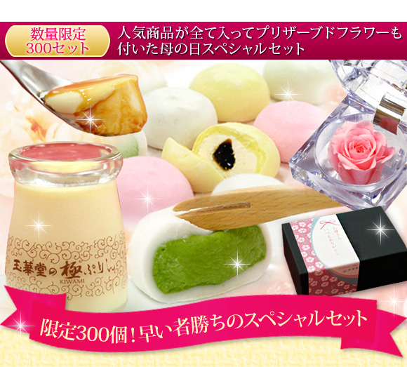 �l�C���i���S�ē����ăv���U�[�u�h�t�����[���t������̓��X�y�V�����Z�b�g