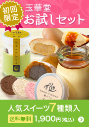 お試しセット
