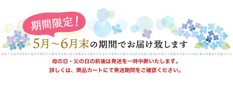 期間限定