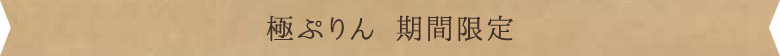 極プリン 期間限定