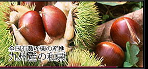 �S���L���̌I�̎Y�n��B�Y�̘a�I