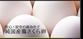 ���S�E���S�̐��݂��ė�