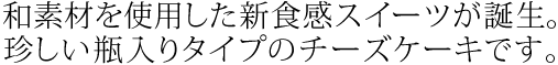 afނgpVHXC[caBr^Cṽ`[YP[LłB