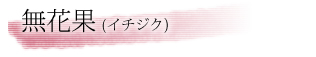ԉʁiC`WNj
