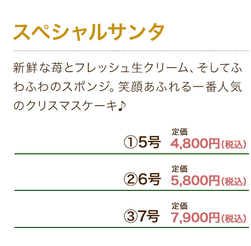 クリスマスケーキ　スペシャルサンタ