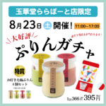 🌻夏休み特別企画「🍮ぷりんガチャ」ららぽーと店開催♪