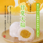 新登場！玉華堂の「甘夏大福」🍊