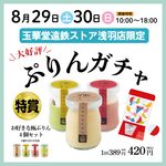 🌻8/２9（土）8/30（日）夏休み特別企画　　　　　　　　　　「🍮ぷりんガチャ」浅羽店開催♪
