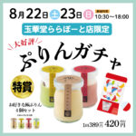 🌻８/２２（土）８/２３（日）夏休み特別企画　　　　　　　　　　「🍮ぷりんガチャ」ららぽーと店開催♪