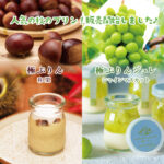 🍇🌰秋季限定、極ぷりん🌰🍇